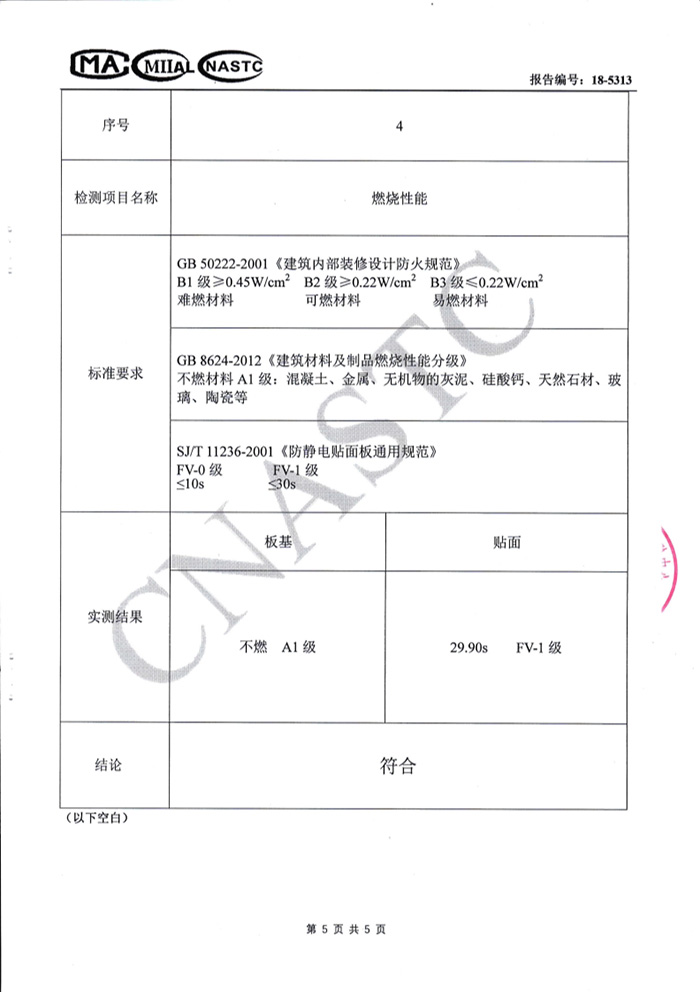 2018年檢測(cè)報(bào)告五